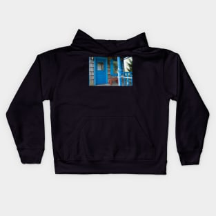 blue door Kids Hoodie